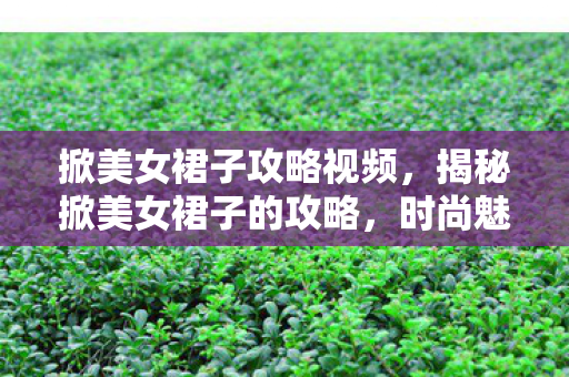 掀美女裙子攻略视频，揭秘掀美女裙子的攻略，时尚魅力的展现之道