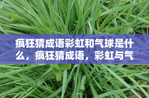 疯狂猜成语彩虹和气球是什么，疯狂猜成语，彩虹与气的奥秘