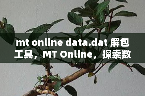 mt online data.dat 解包工具，MT Online，探索数字时代的无限可能