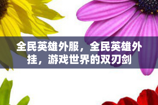 全民英雄外服，全民英雄外挂，游戏世界的双刃剑