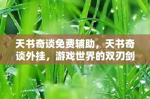 天书奇谈免费辅助，天书奇谈外挂，游戏世界的双刃剑