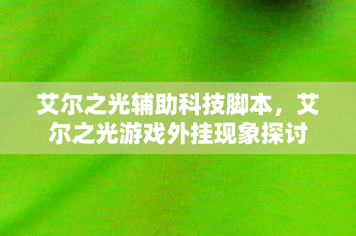 艾尔之光辅助科技脚本，艾尔之光游戏外挂现象探讨