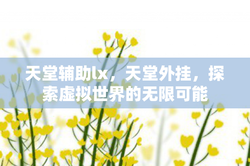 天堂辅助lx，天堂外挂，探索虚拟世界的无限可能