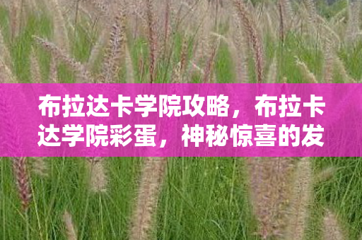 布拉达卡学院攻略，布拉卡达学院彩蛋，神秘惊喜的发现之旅