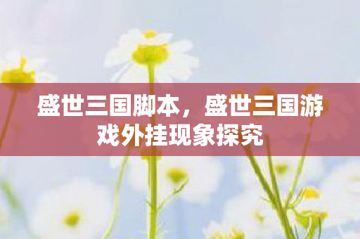 盛世三国脚本，盛世三国游戏外挂现象探究