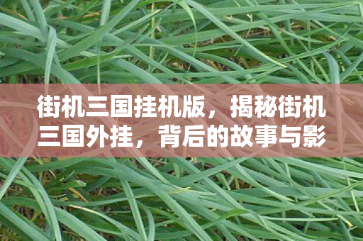 街机三国挂机版，揭秘街机三国外挂，背后的故事与影响