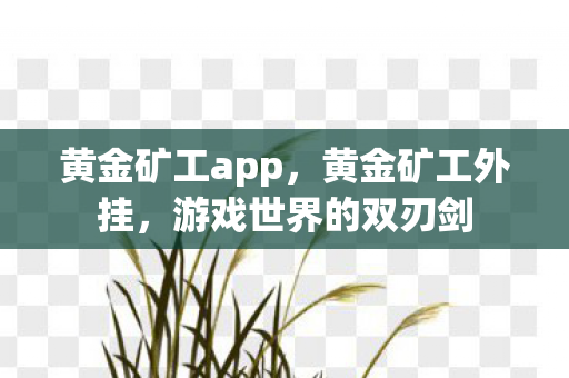 黄金矿工app，黄金矿工外挂，游戏世界的双刃剑