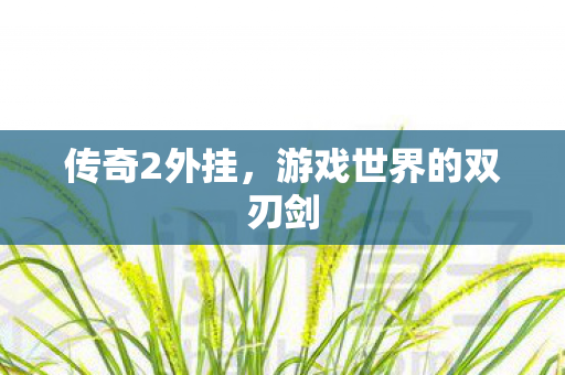 传奇2外挂，游戏世界的双刃剑