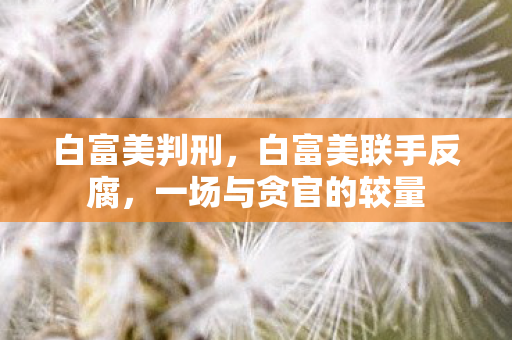 白富美判刑，白富美联手反腐，一场与贪官的较量