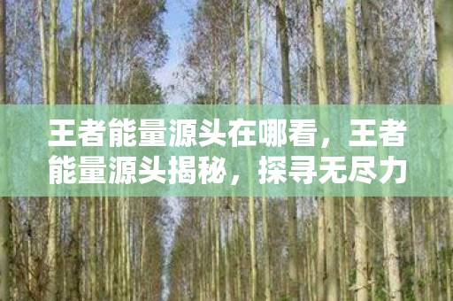 王者能量源头在哪看，王者能量源头揭秘，探寻无尽力量的起源