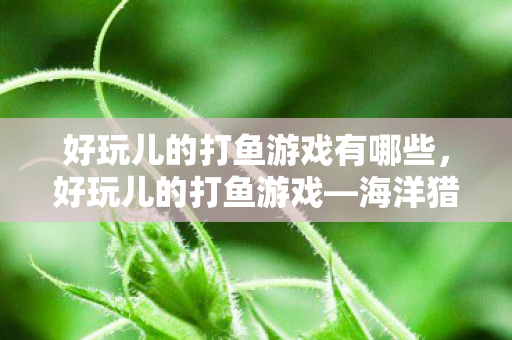 好玩儿的打鱼游戏有哪些，好玩儿的打鱼游戏—海洋猎手的乐趣