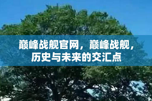 巅峰战舰官网，巅峰战舰，历史与未来的交汇点
