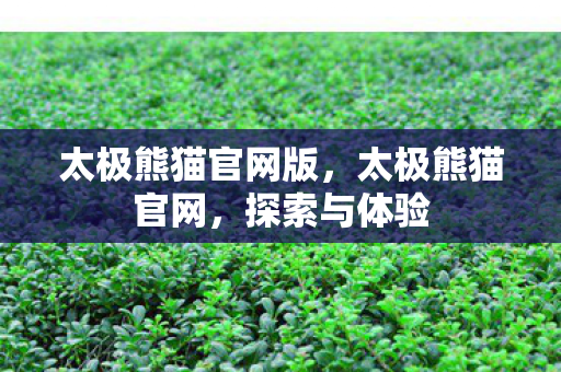 太极熊猫官网版，太极熊猫官网，探索与体验