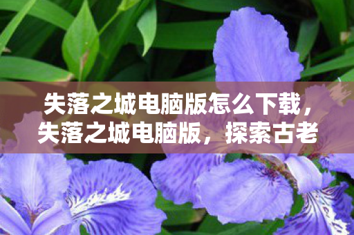 失落之城电脑版怎么下载，失落之城电脑版，探索古老遗迹的神秘之旅