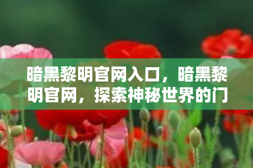 暗黑黎明官网入口，暗黑黎明官网，探索神秘世界的门户