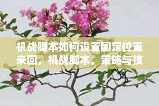 机战脚本如何设置固定位置来回，机战脚本，策略与技术的完美结合