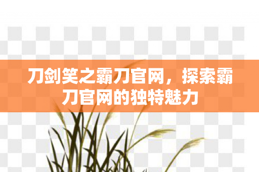 刀剑笑之霸刀官网，探索霸刀官网的独特魅力