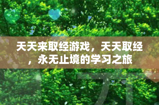 天天来取经游戏，天天取经，永无止境的学习之旅