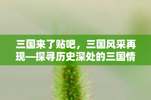 三国来了贴吧，三国风采再现—探寻历史深处的三国情怀
