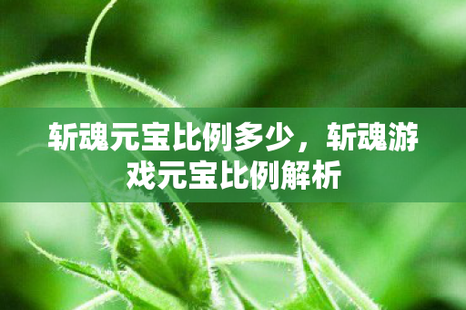 斩魂元宝比例多少，斩魂游戏元宝比例解析
