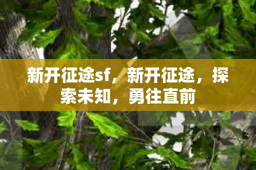 新开征途sf，新开征途，探索未知，勇往直前