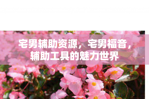 宅男辅助资源，宅男福音，辅助工具的魅力世界