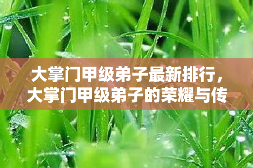大掌门甲级弟子最新排行，大掌门甲级弟子的荣耀与传承