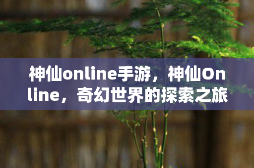 神仙online手游，神仙Online，奇幻世界的探索之旅