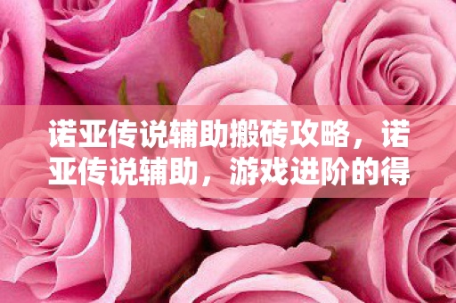 诺亚传说辅助搬砖攻略，诺亚传说辅助，游戏进阶的得力助手