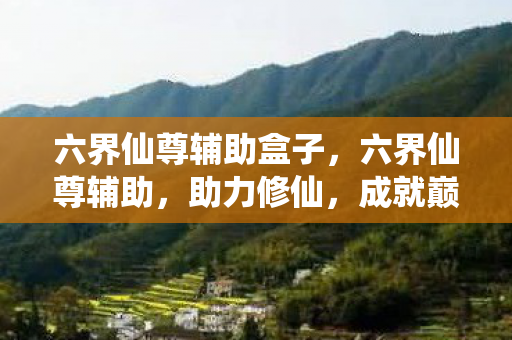 六界仙尊辅助盒子，六界仙尊辅助，助力修仙，成就巅峰传奇