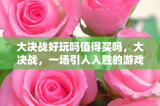 大决战好玩吗值得买吗，大决战，一场引人入胜的游戏体验