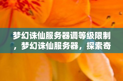梦幻诛仙服务器调等级限制，梦幻诛仙服务器，探索奇幻世界的核心支柱