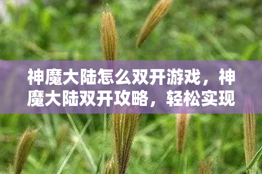 神魔大陆怎么双开游戏，神魔大陆双开攻略，轻松实现游戏多开体验