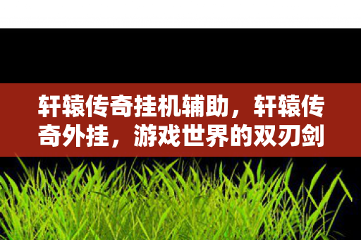 轩辕传奇挂机辅助，轩辕传奇外挂，游戏世界的双刃剑