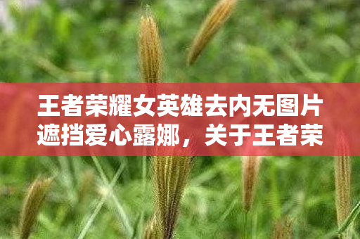 王者荣耀女英雄去内无图片遮挡爱心露娜，关于王者荣耀露娜的无遮挡魅力