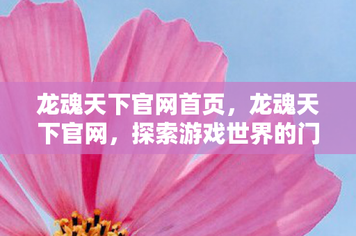 龙魂天下官网首页，龙魂天下官网，探索游戏世界的门户
