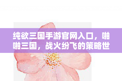 纯欲三国手游官网入口，啪啪三国，战火纷飞的策略世界
