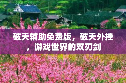 破天辅助免费版，破天外挂，游戏世界的双刃剑