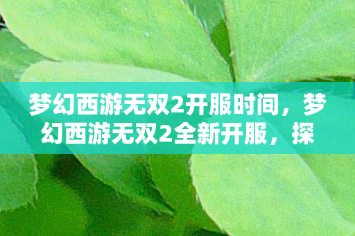 梦幻西游无双2开服时间，梦幻西游无双2全新开服，探索未知的游戏世界
