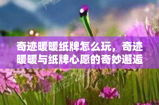 奇迹暖暖纸牌怎么玩，奇迹暖暖与纸牌心愿的奇妙邂逅