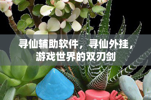寻仙辅助软件，寻仙外挂，游戏世界的双刃剑