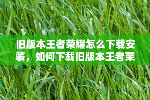 旧版本王者荣耀怎么下载安装，如何下载旧版本王者荣耀