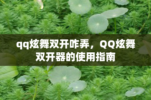 qq炫舞双开咋弄，QQ炫舞双开器的使用指南