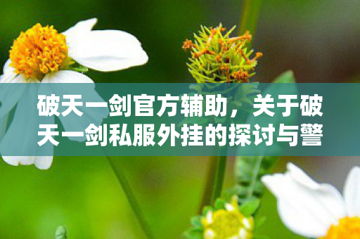 破天一剑官方辅助，关于破天一剑私服外挂的探讨与警示