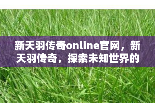 新天羽传奇online官网，新天羽传奇，探索未知世界的神秘之旅