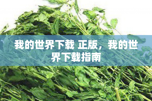 我的世界下载 正版，我的世界下载指南