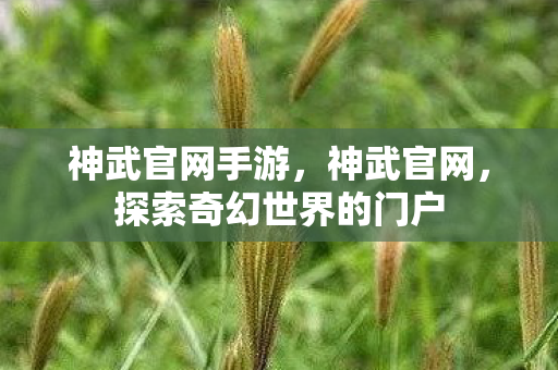 神武官网手游，神武官网，探索奇幻世界的门户