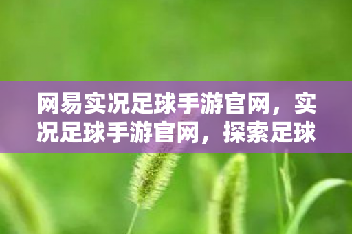 网易实况足球手游官网，实况足球手游官网，探索足球世界的最佳平台