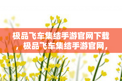 极品飞车集结手游官网下载，极品飞车集结手游官网，速度与激情的聚集地