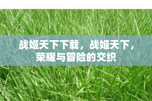 战姬天下下载，战姬天下，荣耀与冒险的交织